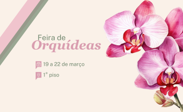 BANNER MOBILE _3_.png